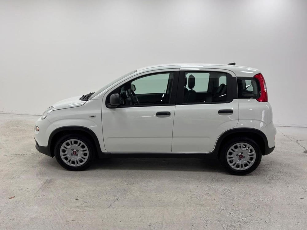 Fiat Panda Cross nuova a Como (8)