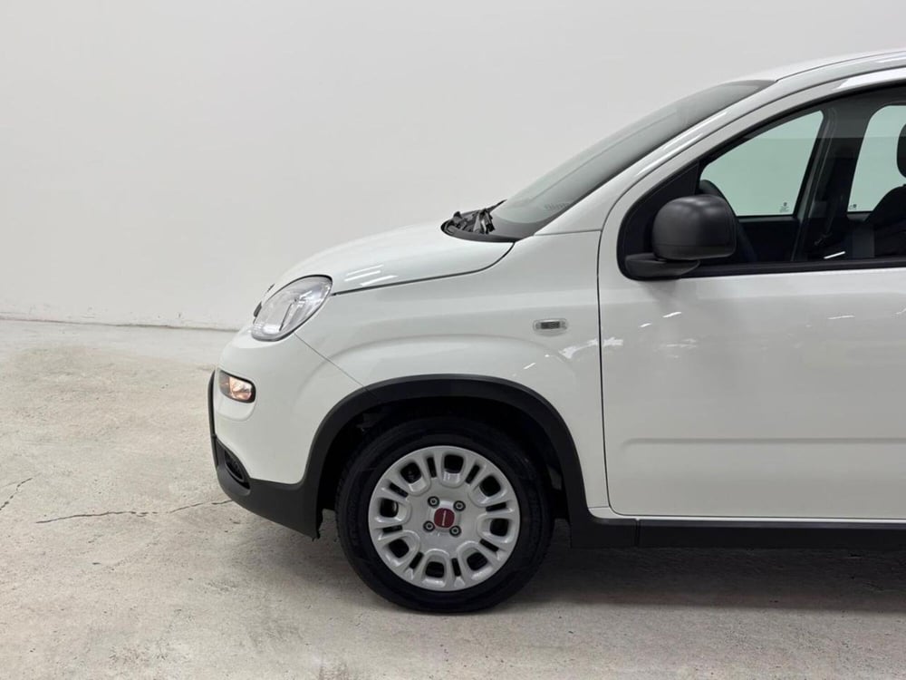 Fiat Panda Cross nuova a Como (9)