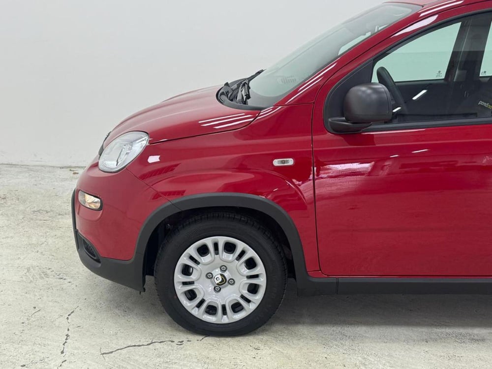 Fiat Panda Cross nuova a Como (11)