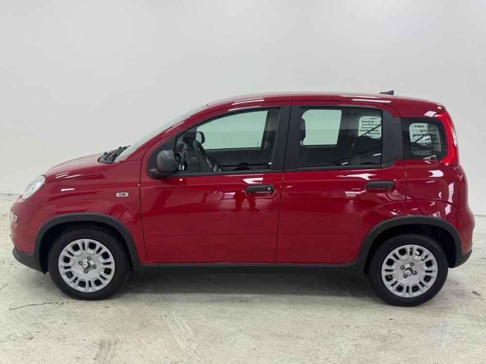 Fiat Panda Cross nuova a Como (8)