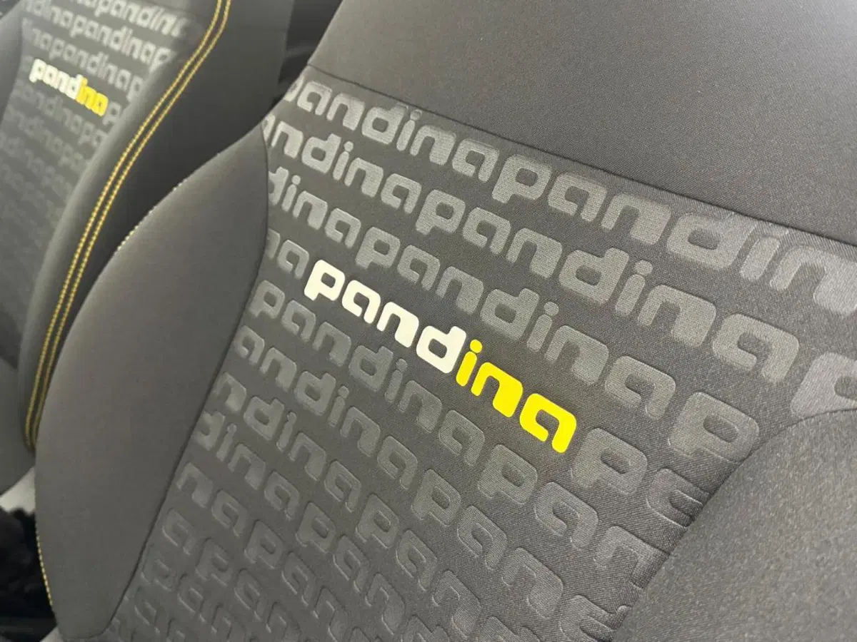 Fiat Panda Cross nuova a Como (17)