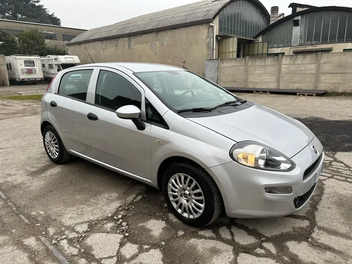 Fiat Punto usata a Monza e Brianza (2)