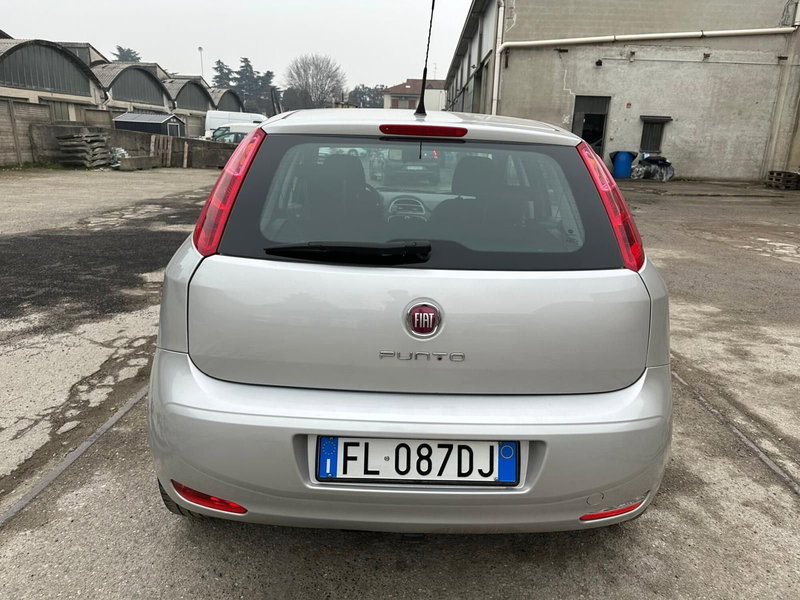 Fiat Punto usata a Monza e Brianza (5)