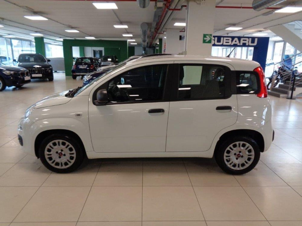 Fiat Panda usata a Torino (6)