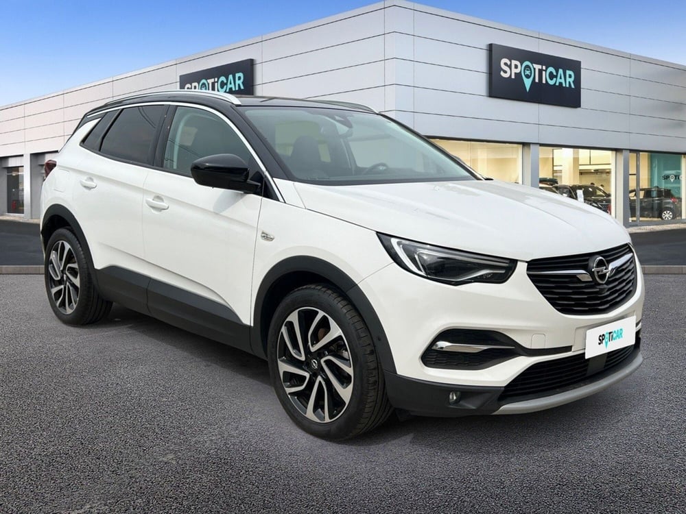 Opel Grandland X usata a Teramo (3)