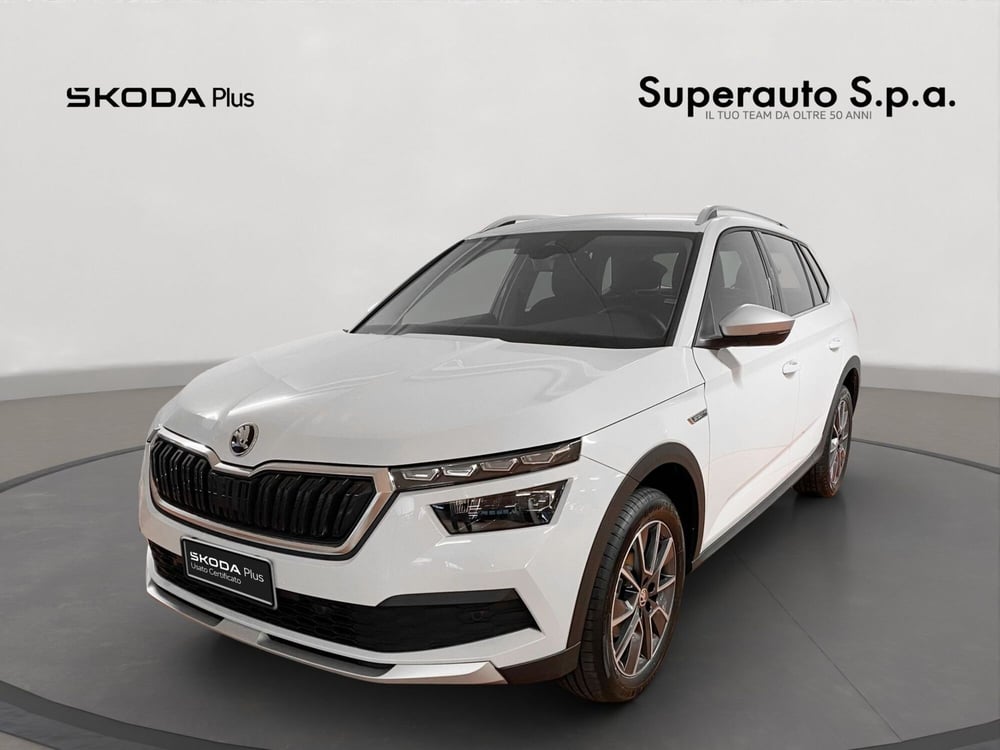 Skoda Kamiq usata a Padova (15)