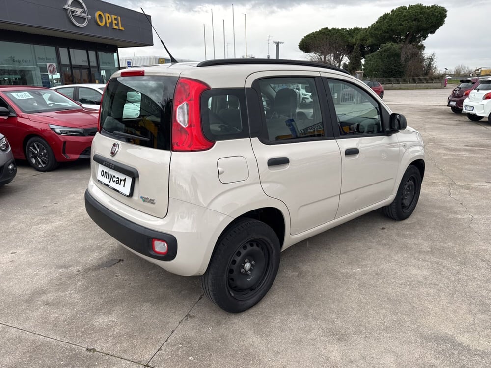 Fiat Panda usata a Ferrara (6)