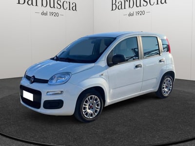 Fiat Panda 1.2 EasyPower Easy  del 2017 usata a Montesilvano