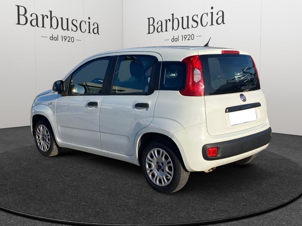 Fiat Panda usata a Pescara (4)