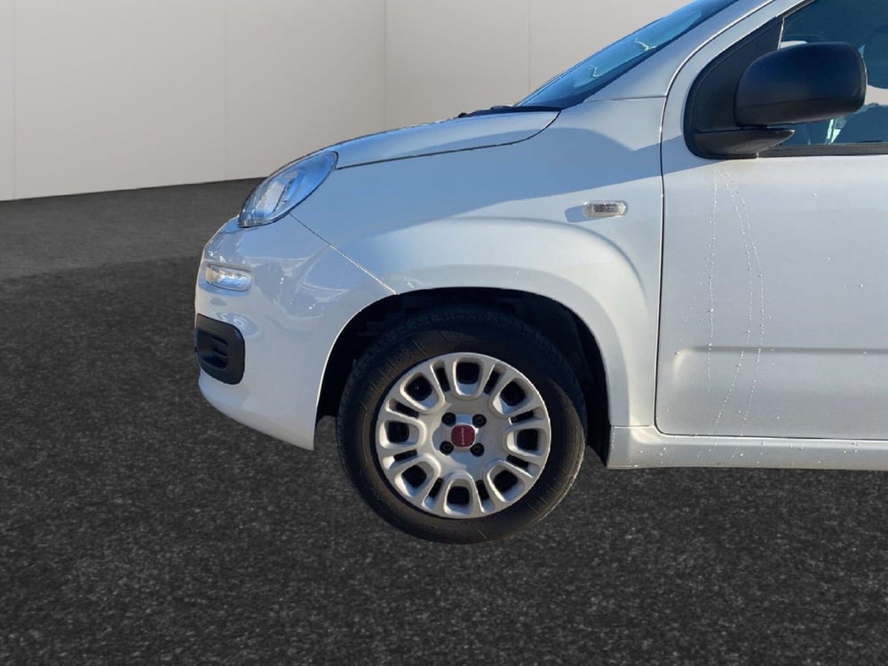 Fiat Panda usata a Pescara (5)