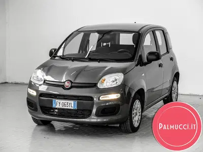 Fiat Panda 1.2 Easy del 2019 usata a Prato
