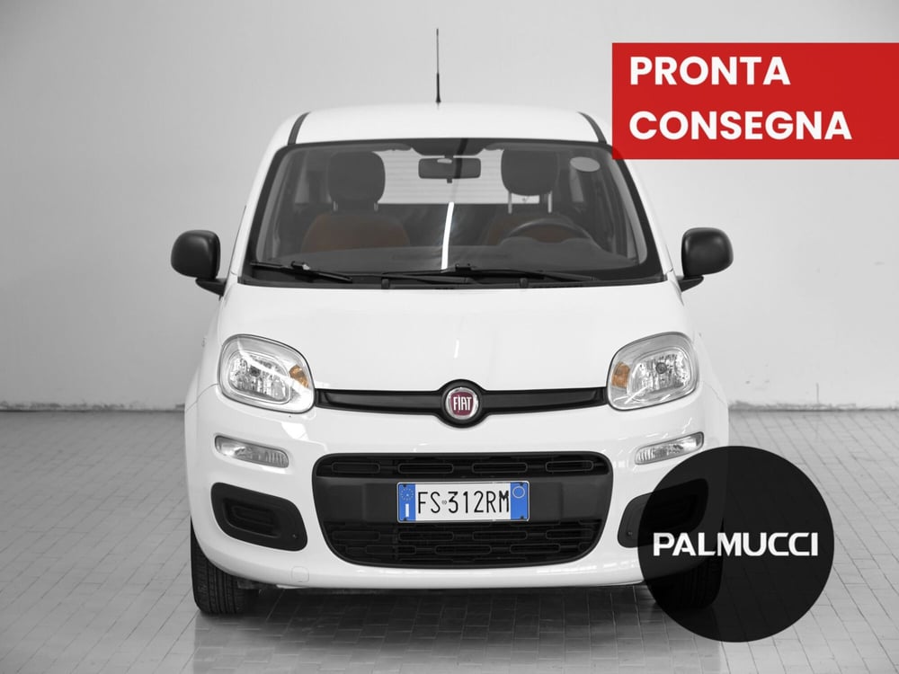 Fiat Panda usata a Prato (2)