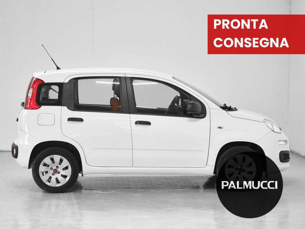 Fiat Panda usata a Prato (5)