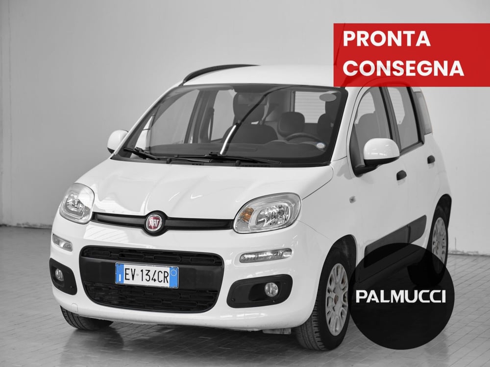 Fiat Panda usata a Prato