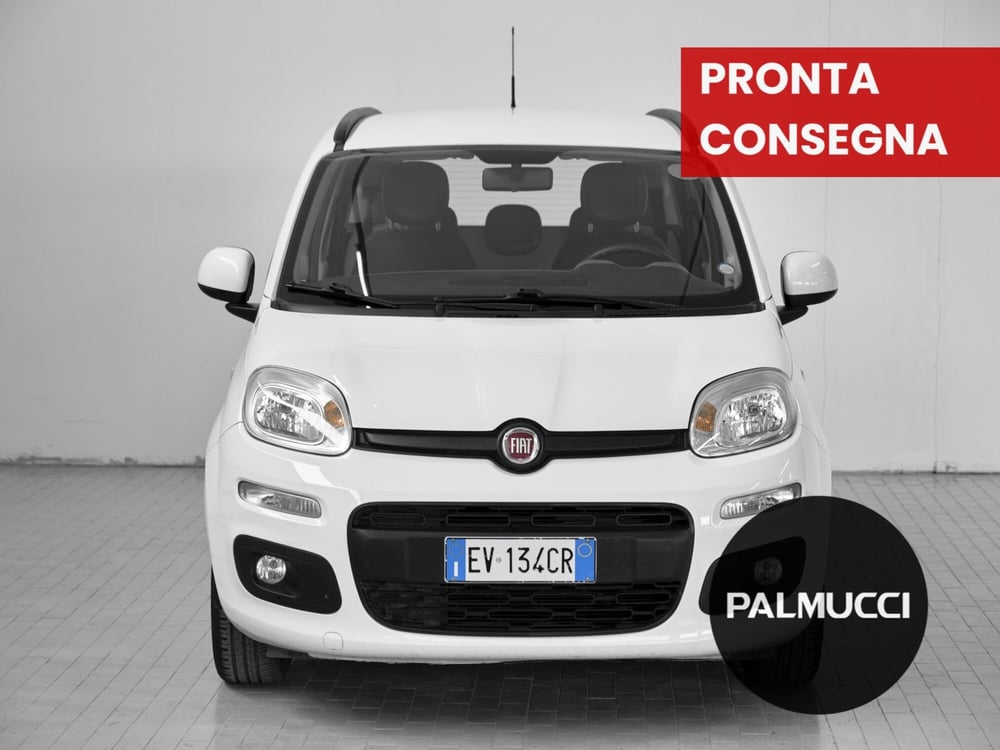 Fiat Panda usata a Prato (2)