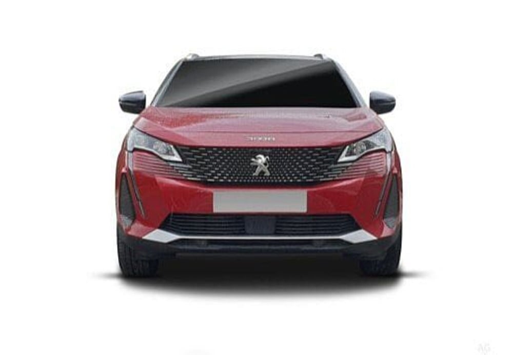 Peugeot 3008 usata a Potenza (9)