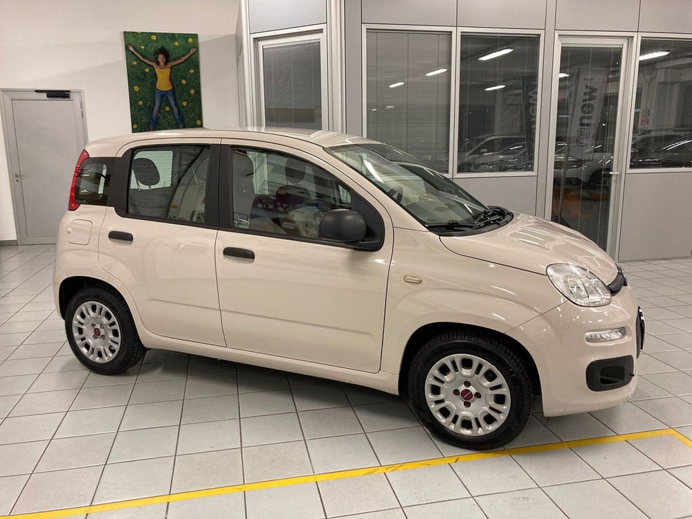 Fiat Panda usata a Brescia (2)