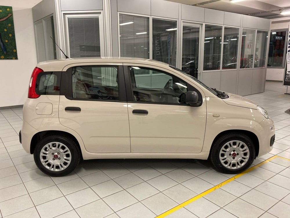 Fiat Panda usata a Brescia (3)