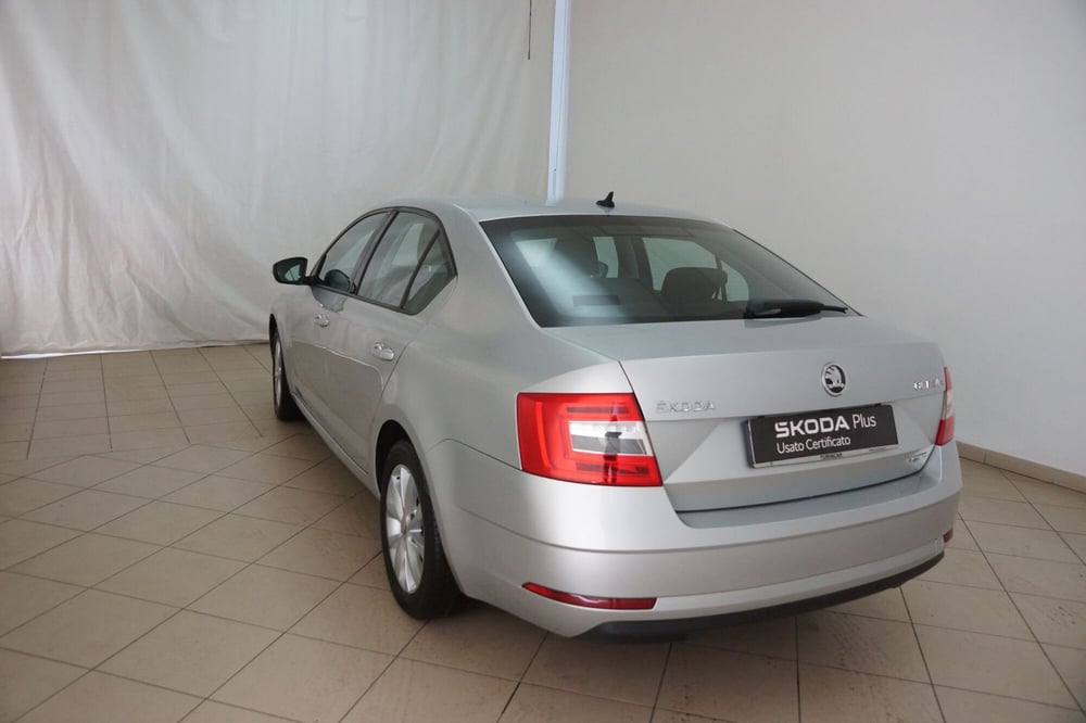 Skoda Octavia usata a Torino (9)