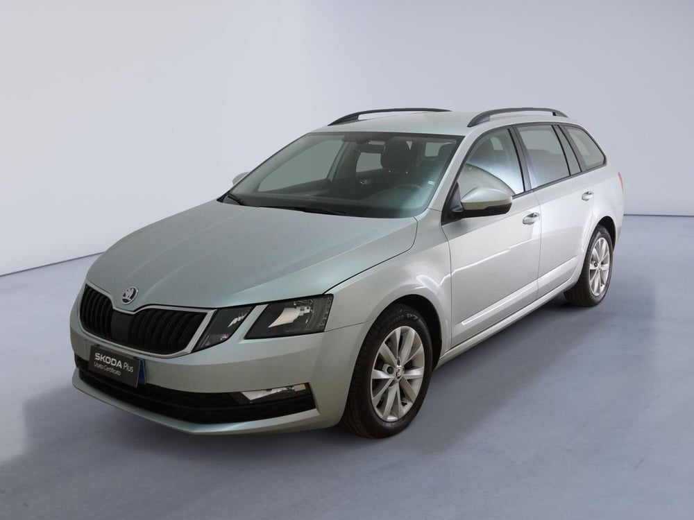 Skoda Octavia Station Wagon usata a Torino (3)