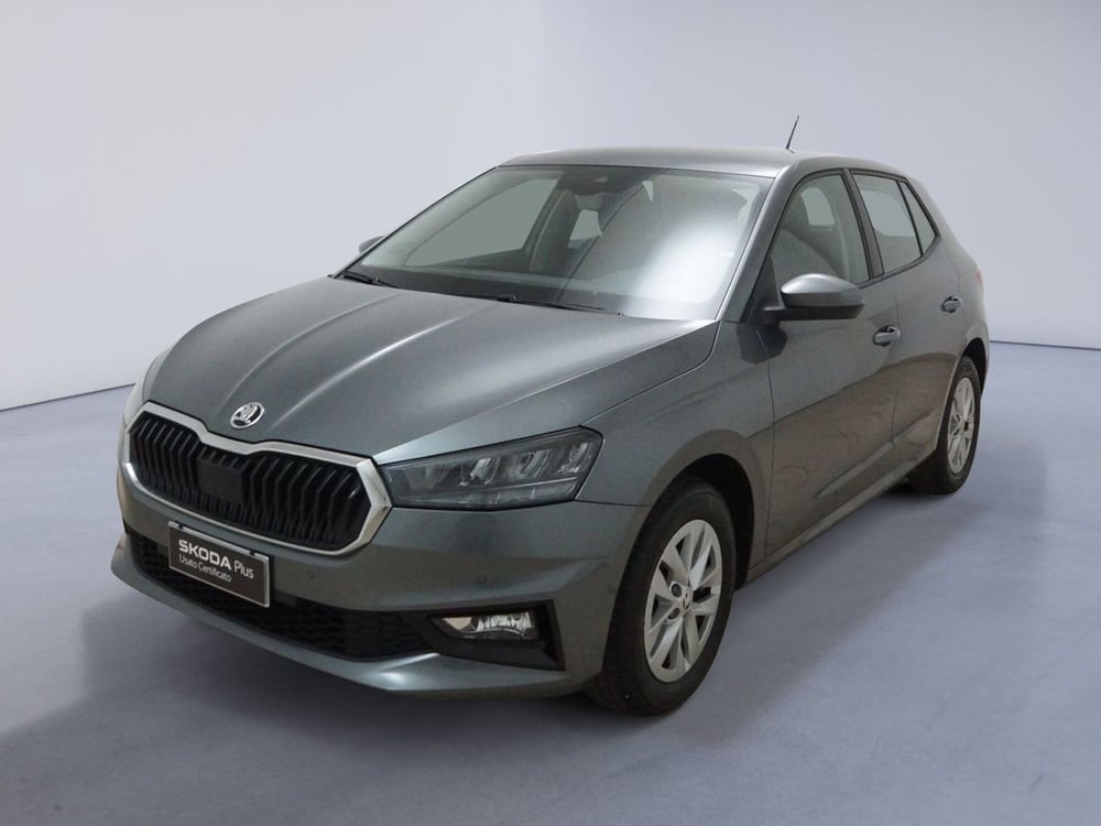 Skoda Fabia usata a Torino (3)