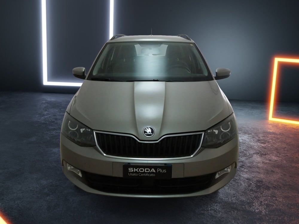 Skoda Fabia Station Wagon usata a Torino (2)