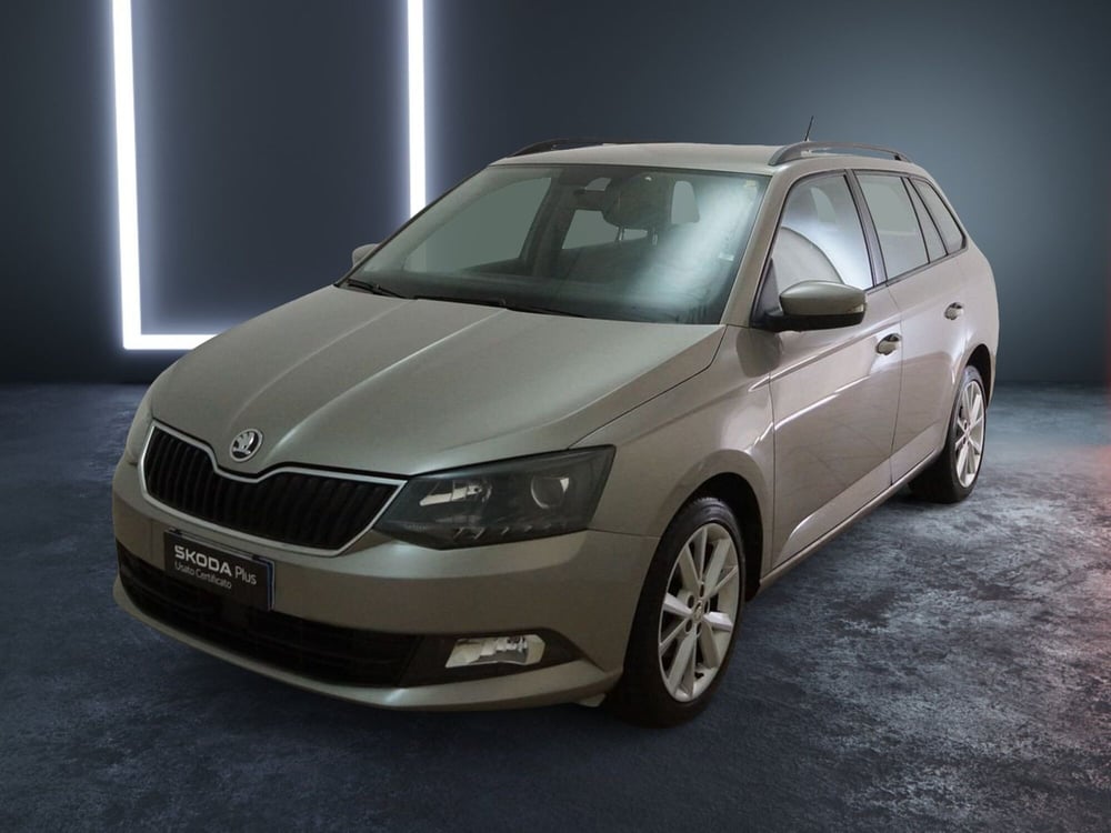 Skoda Fabia Station Wagon usata a Torino (3)