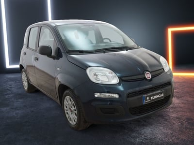 Fiat Panda 1.2 Easy  del 2019 usata a Torino