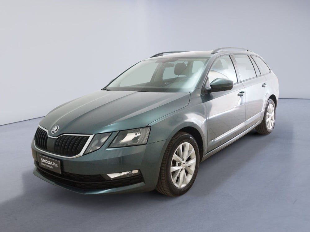 Skoda Octavia Station Wagon usata a Torino (3)