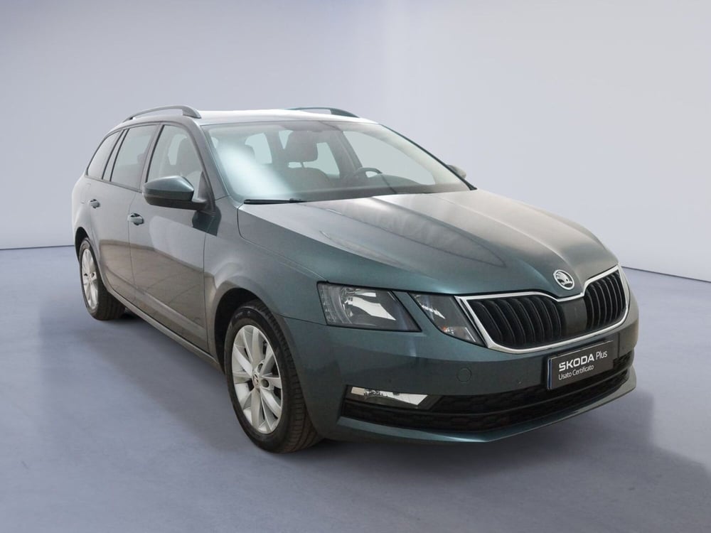 Skoda Octavia Station Wagon usata a Torino (7)