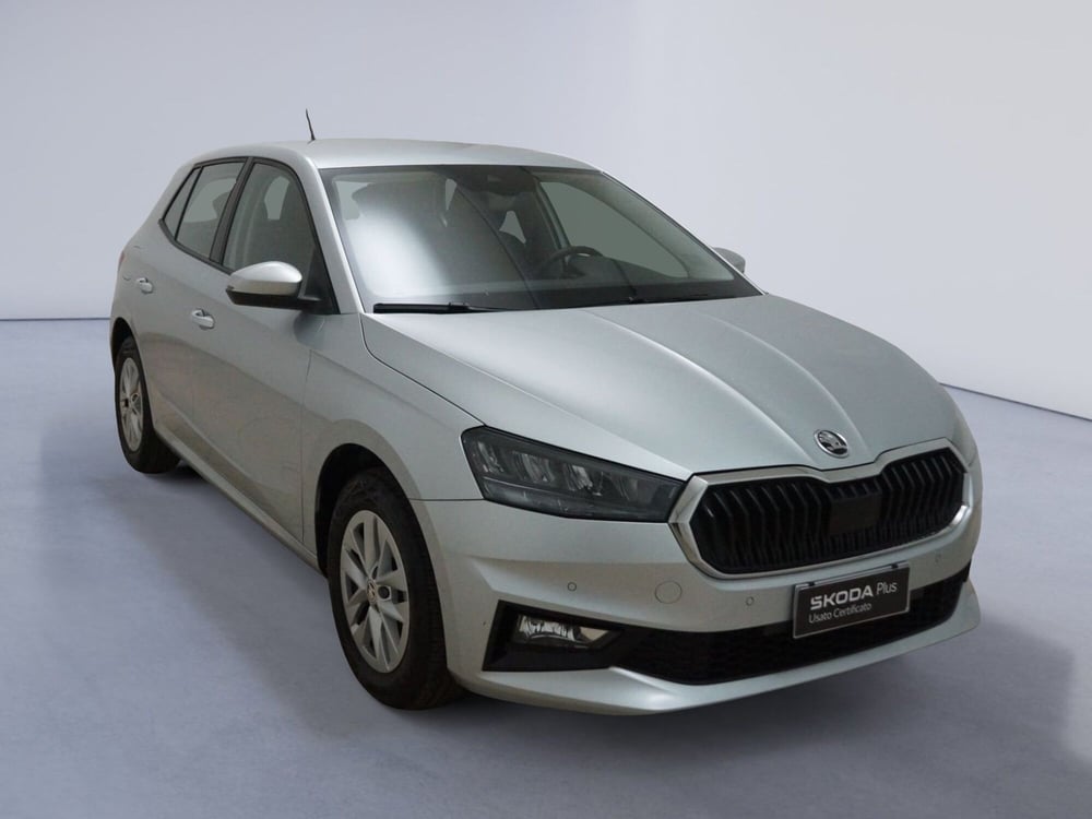 Skoda Fabia usata a Torino