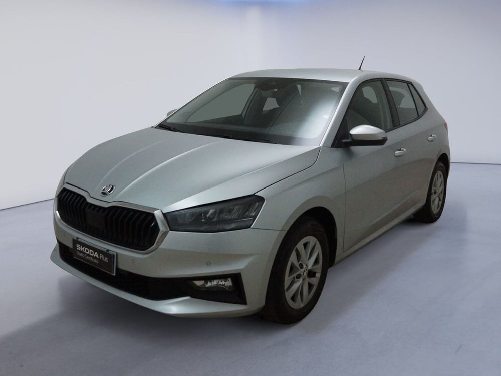 Skoda Fabia usata a Torino (3)