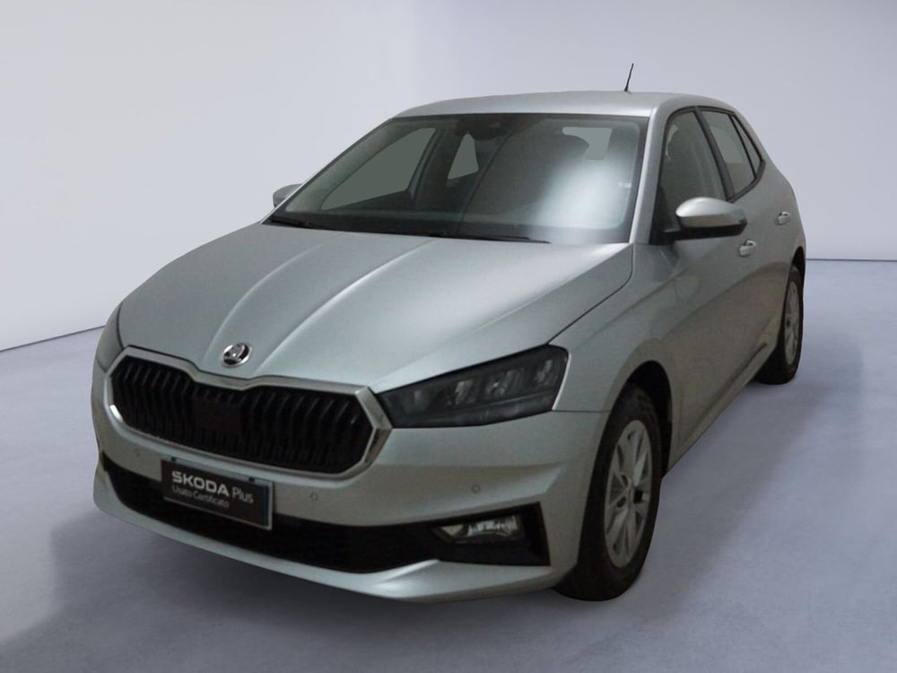 Skoda Fabia usata a Torino (4)