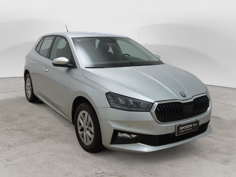 Skoda Fabia usata a Torino