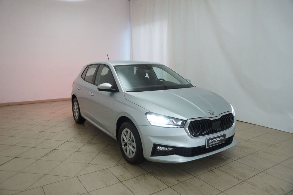 Skoda Fabia usata a Torino (20)