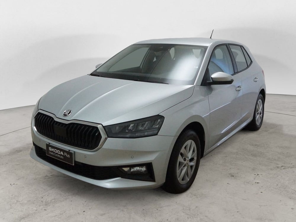 Skoda Fabia usata a Torino (3)