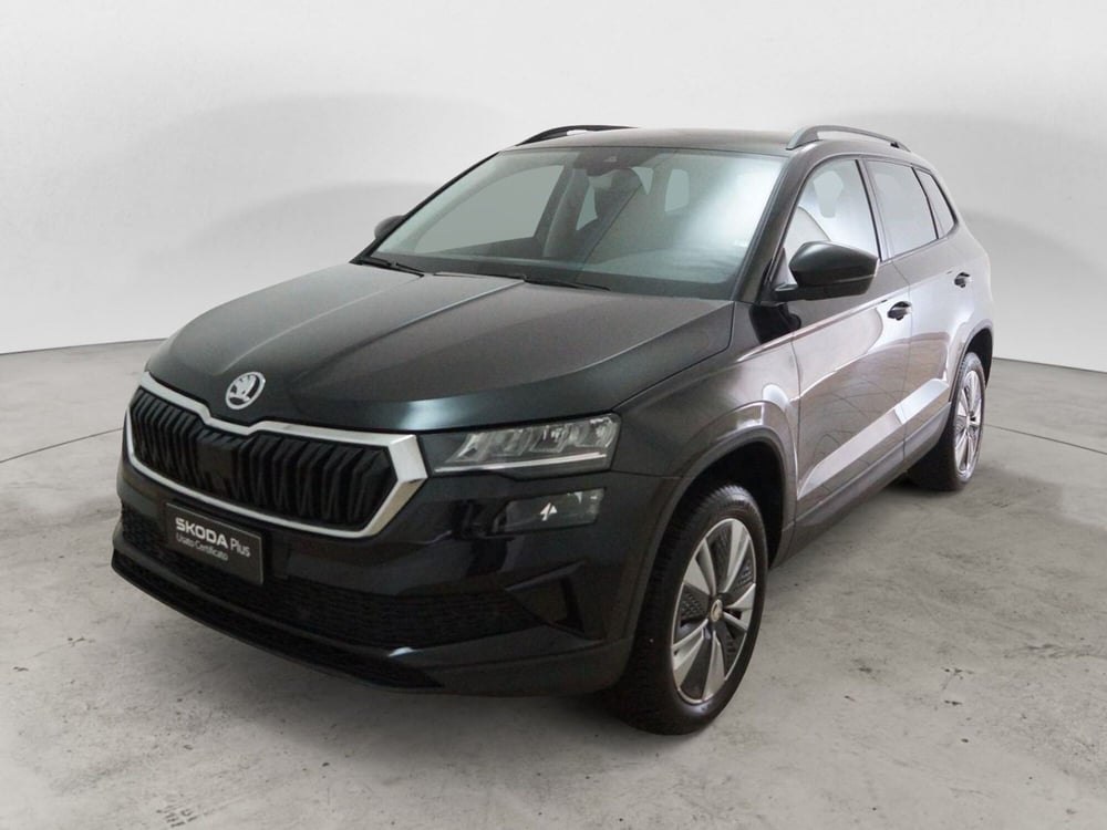 Skoda Karoq usata a Torino (3)