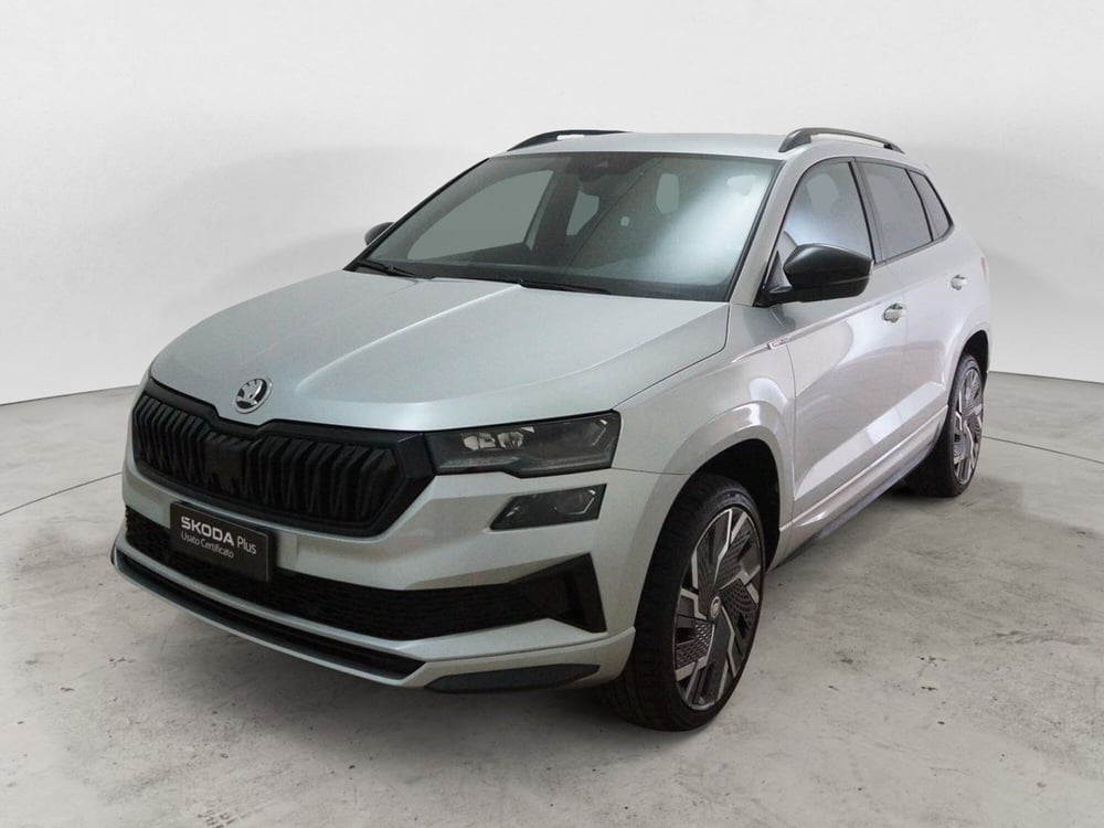 Skoda Karoq usata a Torino (3)