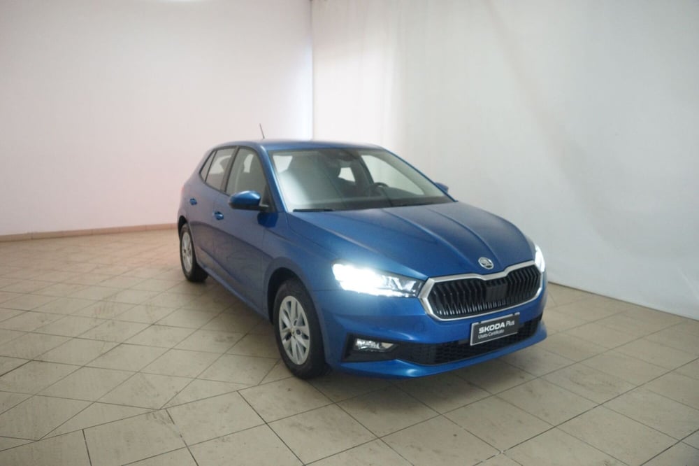 Skoda Fabia usata a Torino (20)