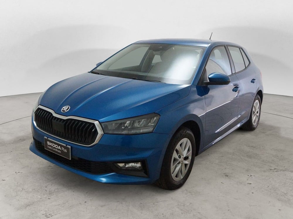 Skoda Fabia usata a Torino (3)