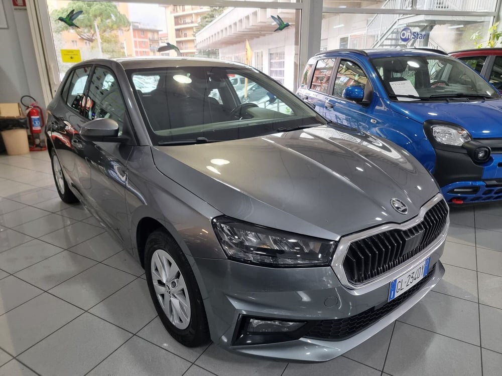 Skoda Fabia usata a Prato (2)