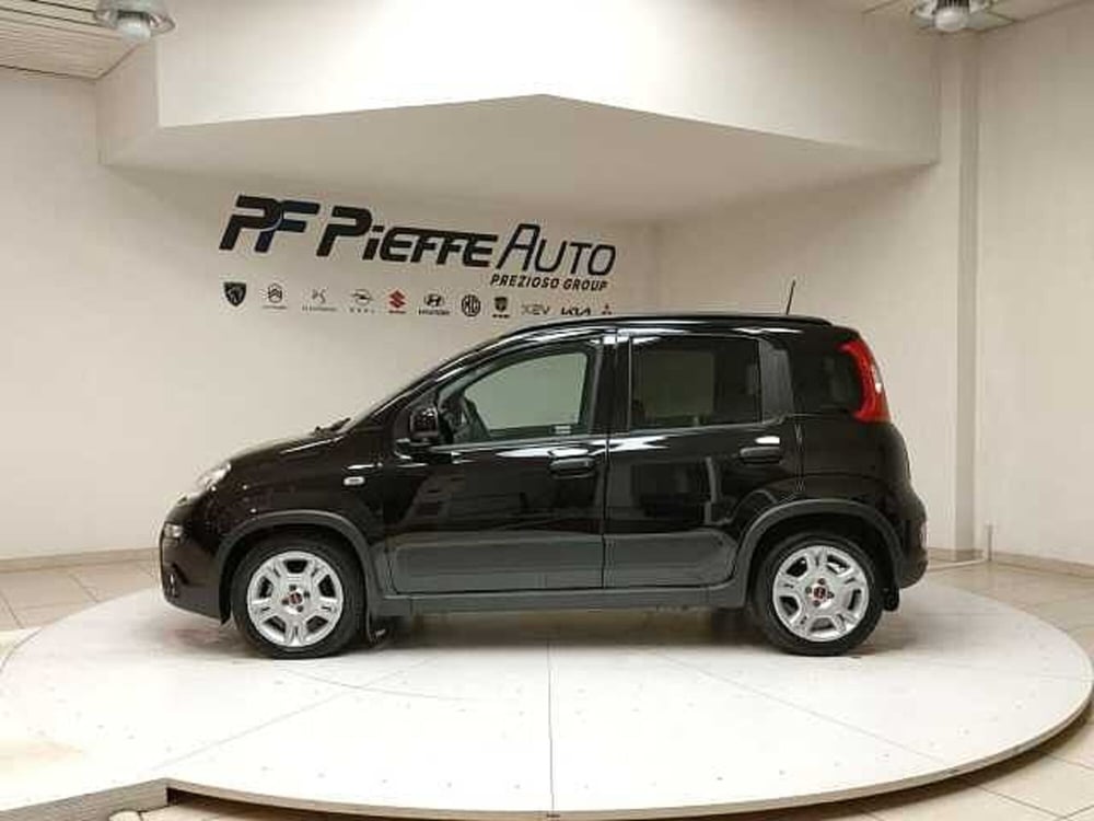 Fiat Panda usata a Teramo (2)