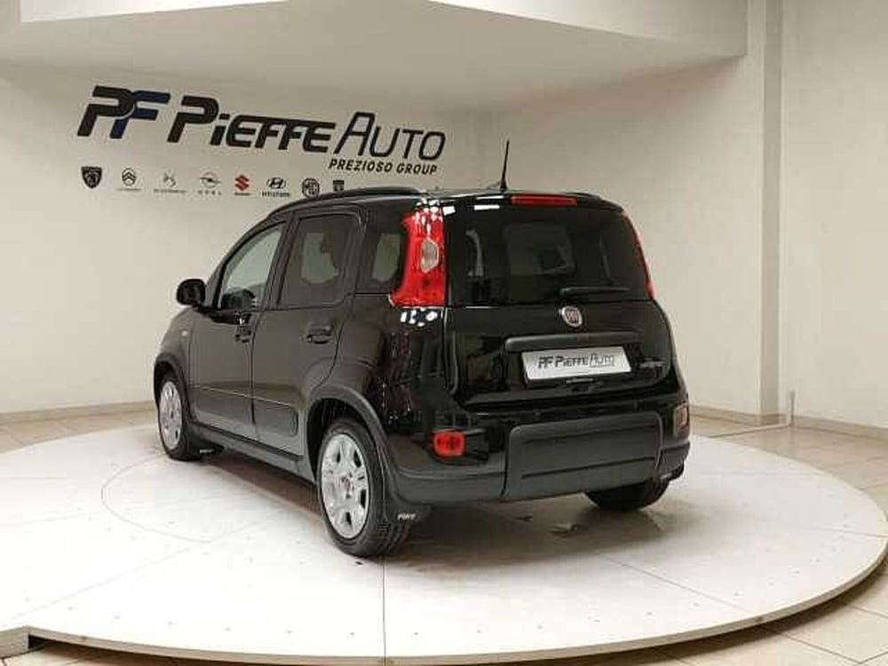 Fiat Panda usata a Teramo (3)