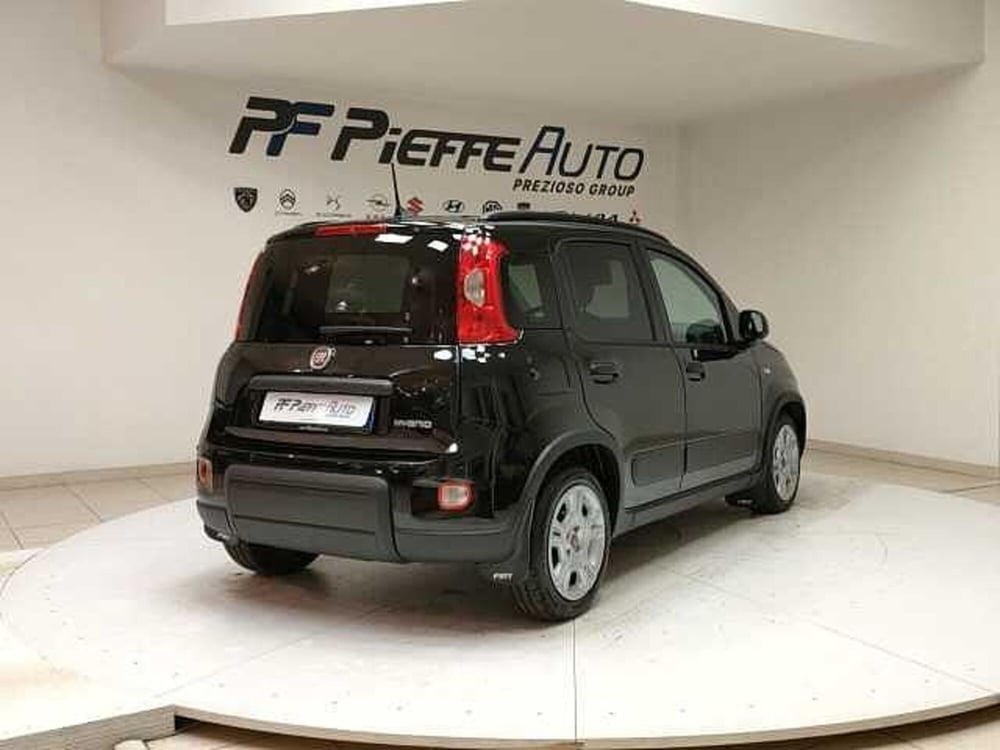 Fiat Panda usata a Teramo (4)