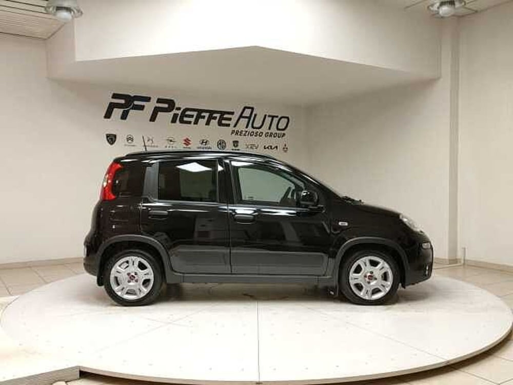 Fiat Panda usata a Teramo (5)