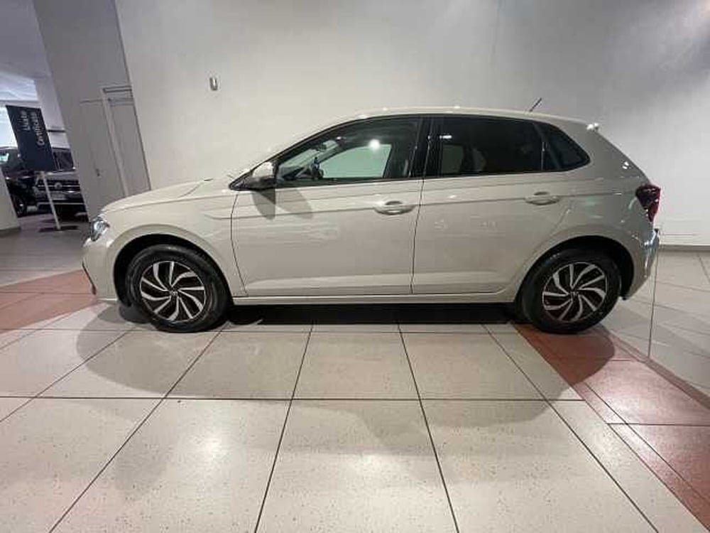 Volkswagen Polo usata a Genova (2)