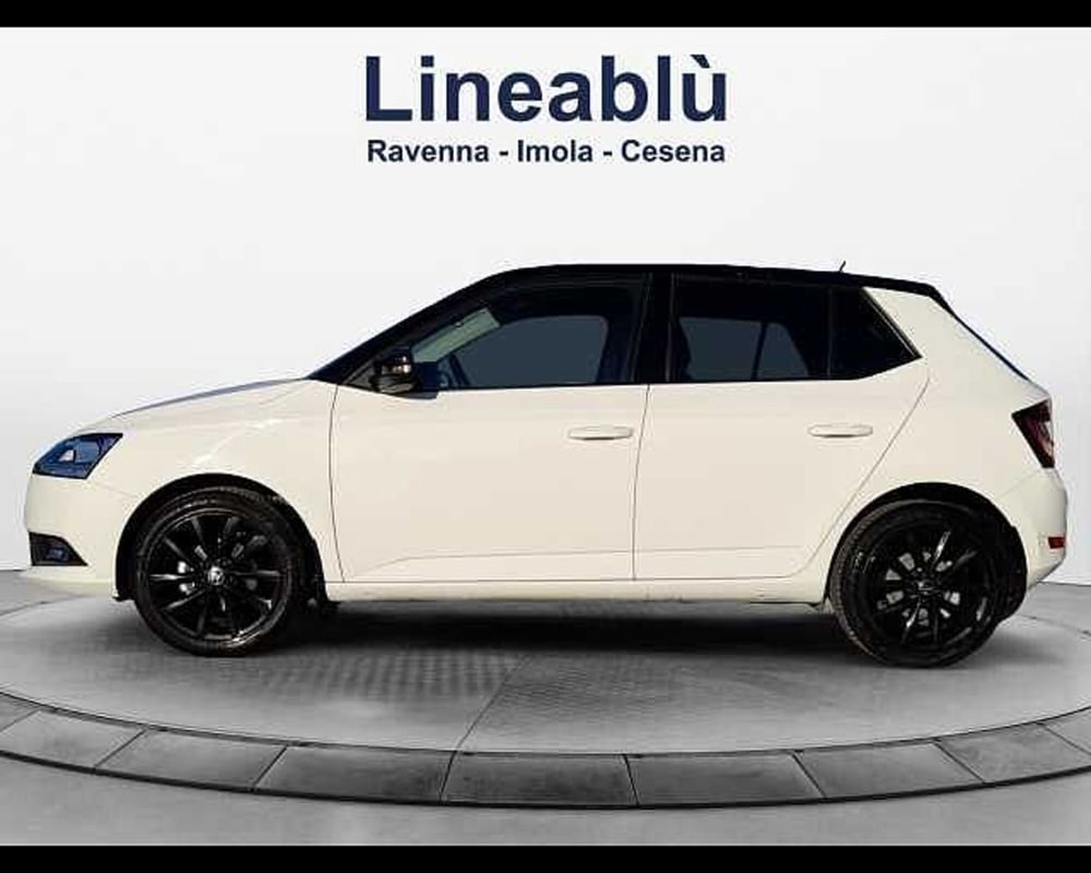 Skoda Fabia usata a Ravenna (2)