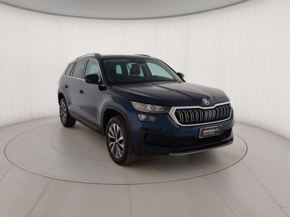 Skoda Kodiaq usata a Massa-Carrara (4)