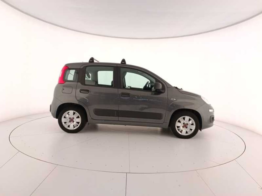 Fiat Panda usata a Treviso (7)