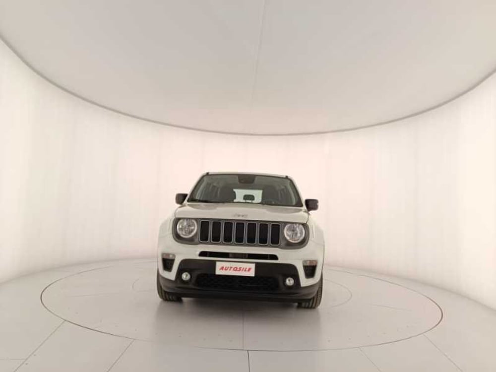 Jeep Renegade usata a Treviso (2)